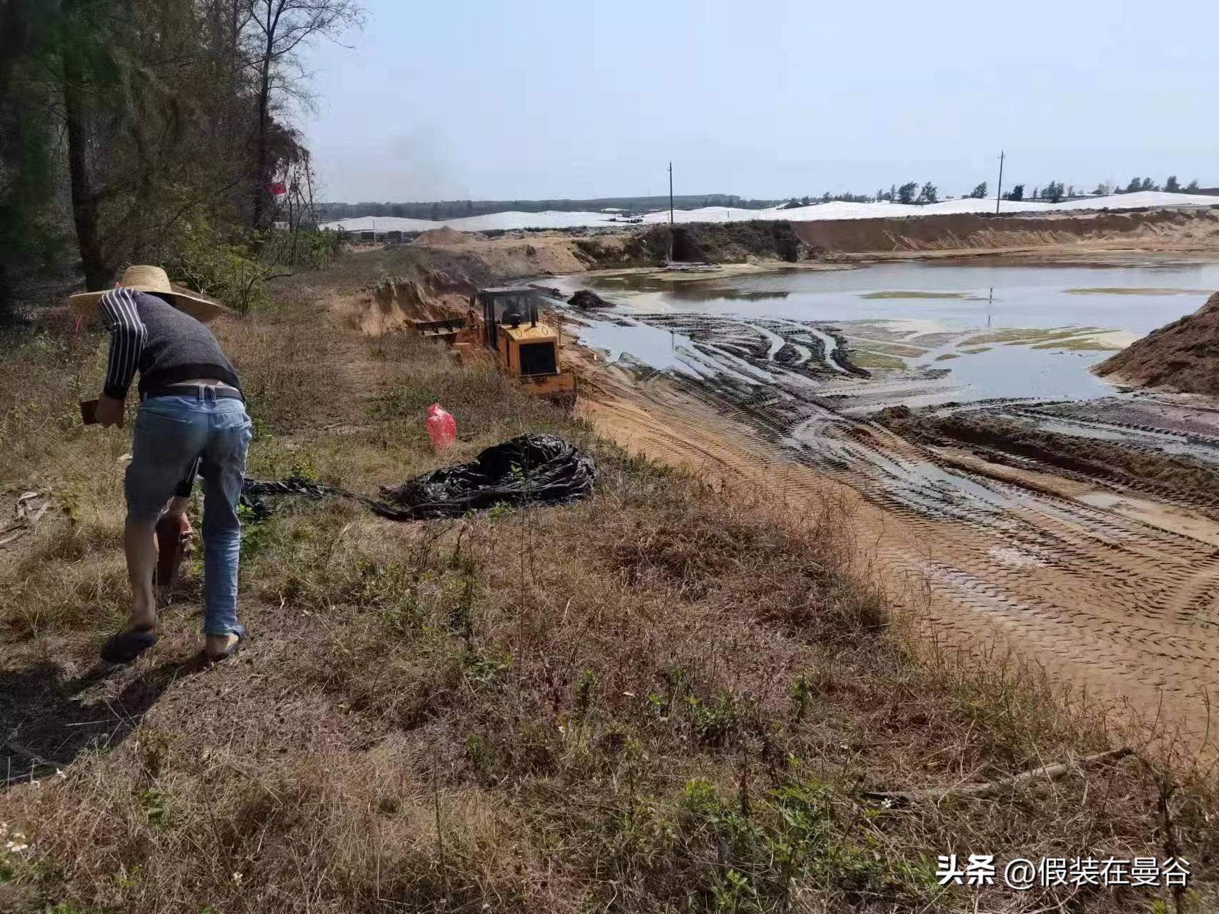 深圳铲车司机招聘，职业前景、需求及应聘指南全解析