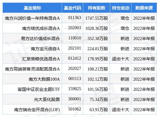 南方高增长最新净值动态及投资展望，洞悉未来增长潜力