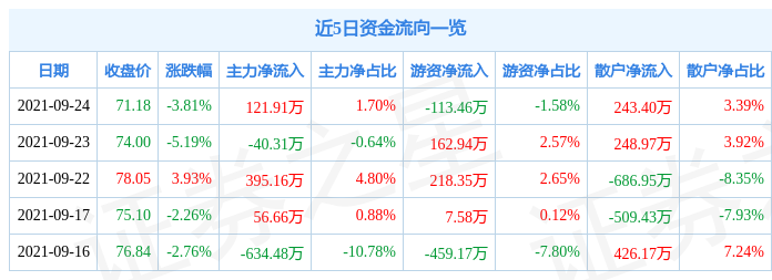 中金星石最新净值及其分析概览