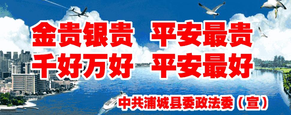 浦城最新新闻动态报道速递