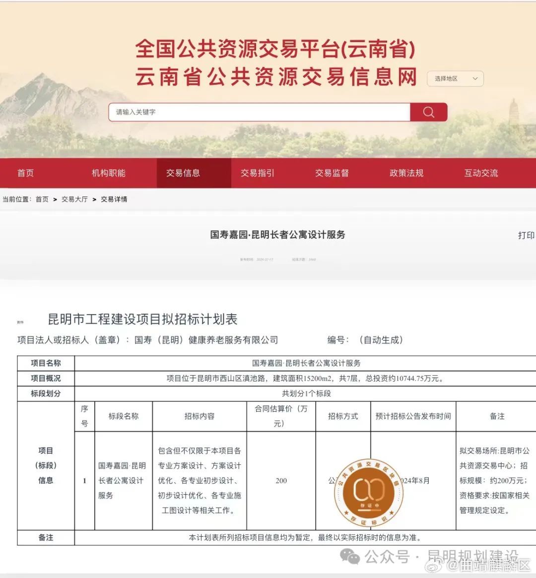 云南公投最新动态全面解读