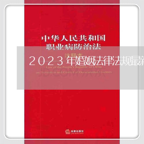 深度解读2023年最新婚姻法，变革与影响