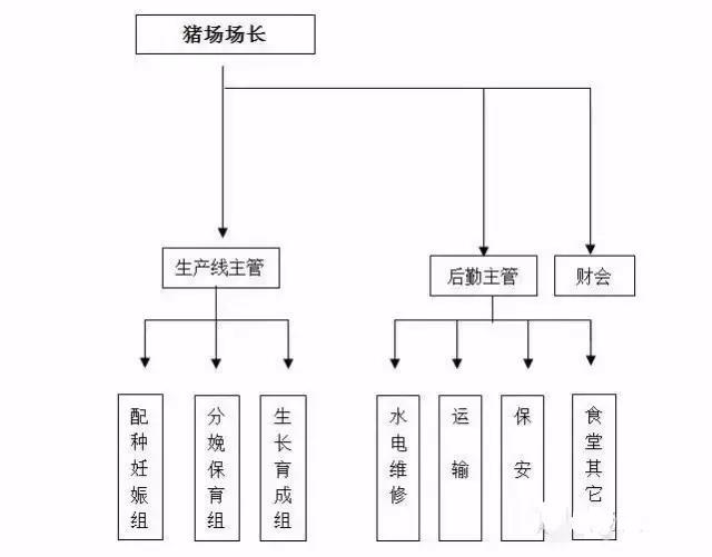 最新猪场场长10000,一、职位概述