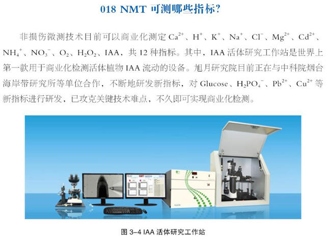 最新nntt00,一、技术前沿