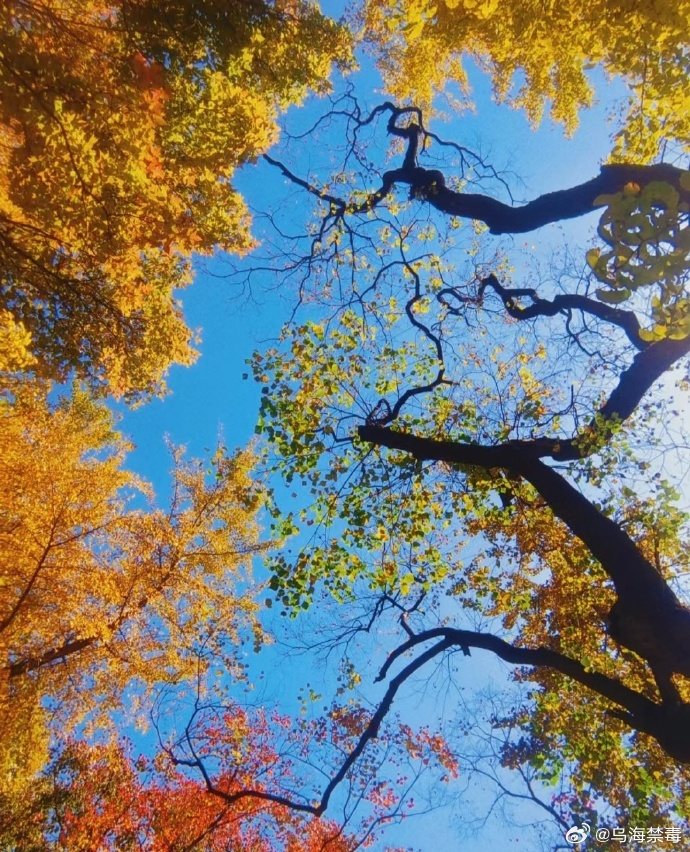 揭秘银行27日利率背后的秘密，自然美景之旅探寻内心平和宁静之道