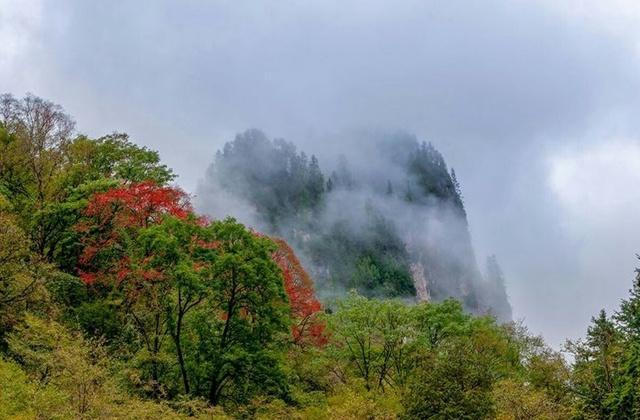 粉黛之旅，探寻秋意与内心平静的旅程