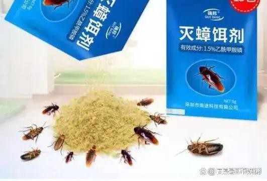 揭秘蟑螂克星，高效杀虫剂的选购与使用指南，带你战胜27日蟑螂的挑战