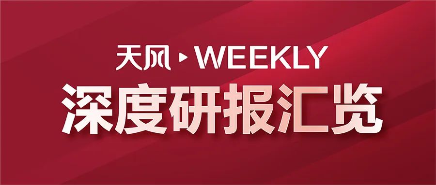 聚焦观点之争，深度解读最新会议内容，揭示某某观点背后的真相