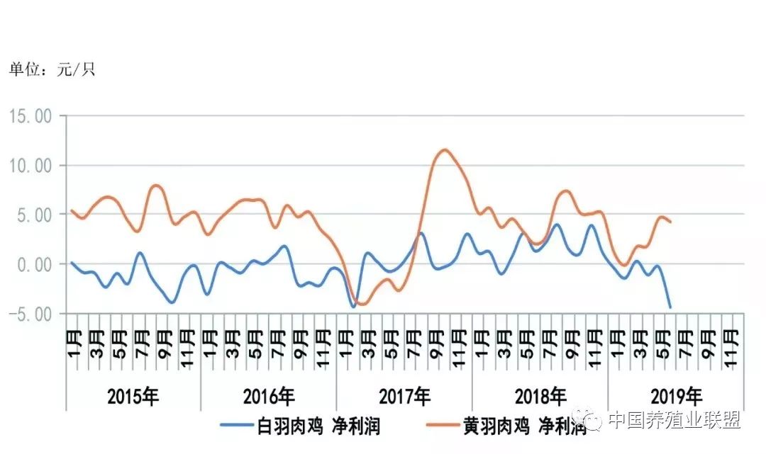 最新鸡鸭疫情报告深度解析及应对之策（每日更新）