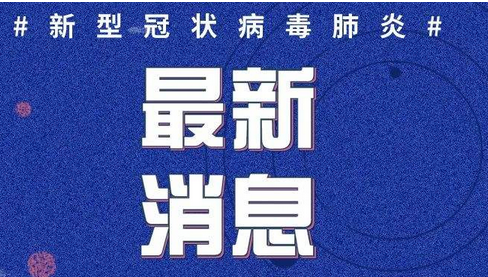 2024年10月 第53页