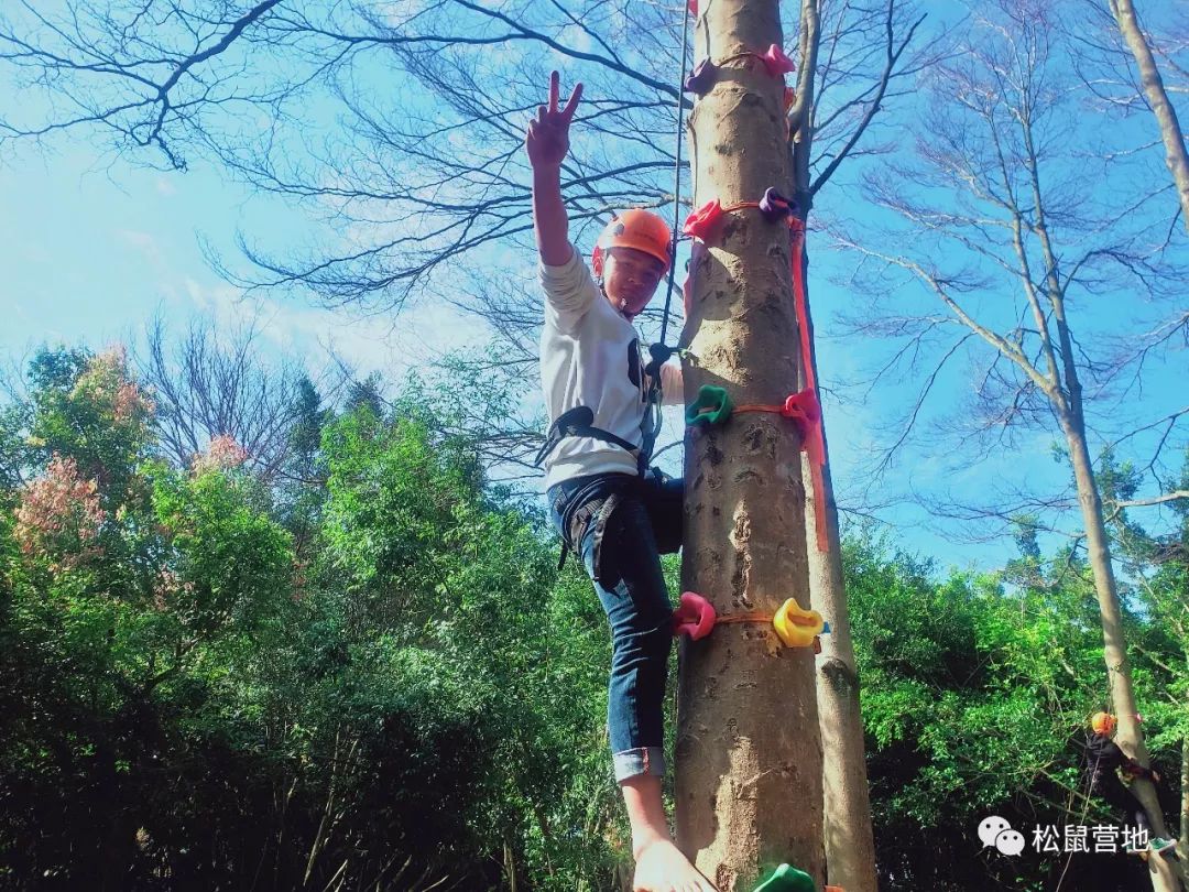 探索自然美景之旅，以最新防艾口号唤醒内心的力量与平静