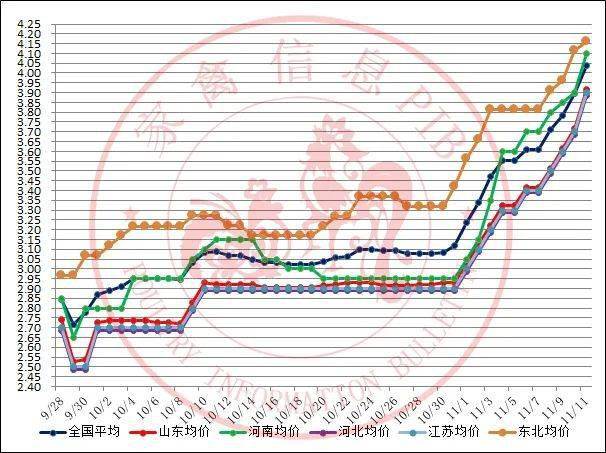 洞悉市场动态，最新肉鸡价格行情分析与养殖盈利机会把握