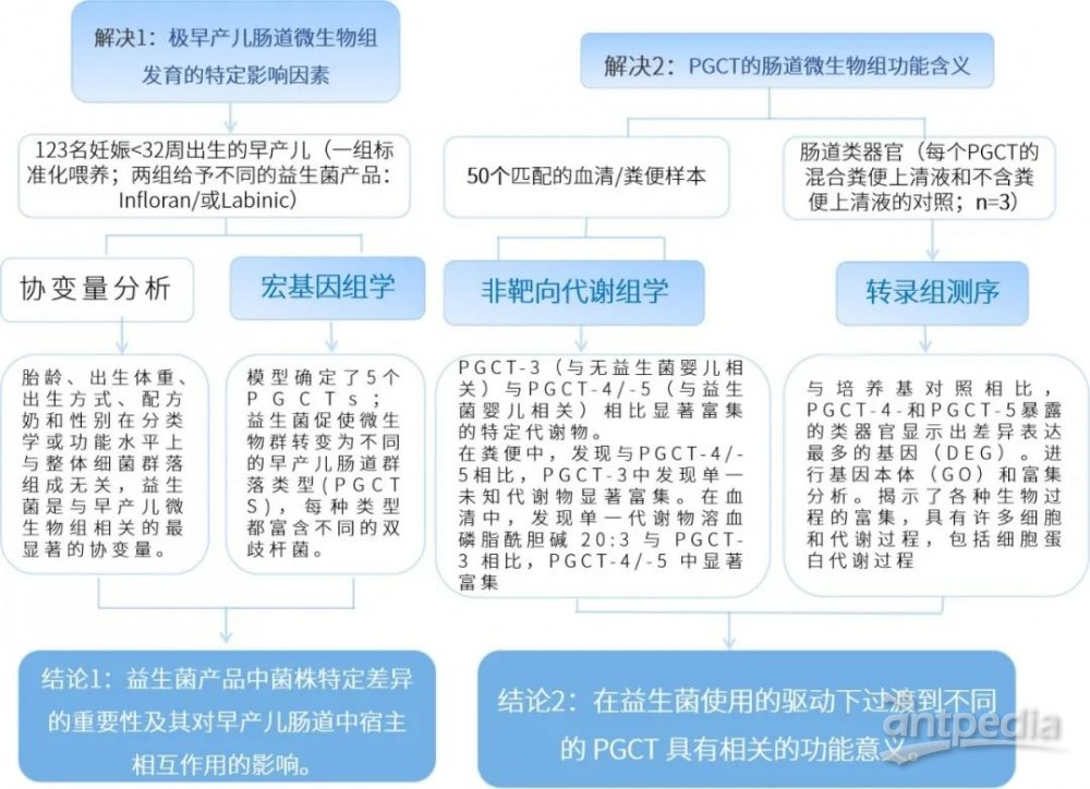 最新生物基因工程领域任务指南，初学者与进阶用户从零起步掌握基因工程技能