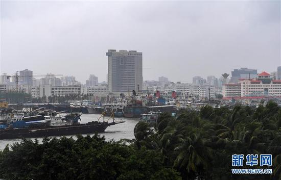 海南台风通航下的温馨日常，风雨中与友共度时光