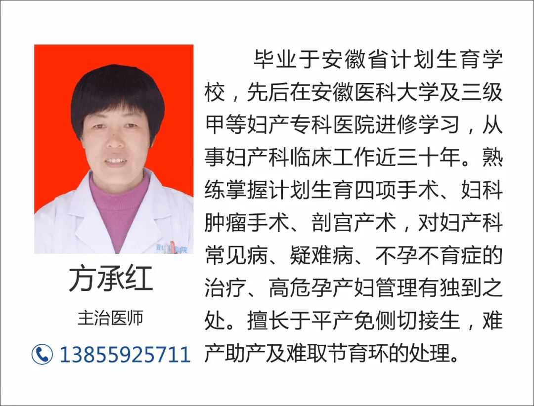 11月5日民百最新消息全面解析，产品特性、用户体验与目标用户群体深度洞察