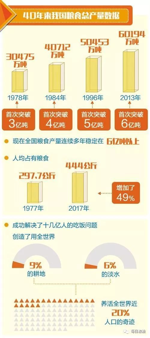 11月6日最新手牌法深度解读与观点碰撞，新视角下的变革