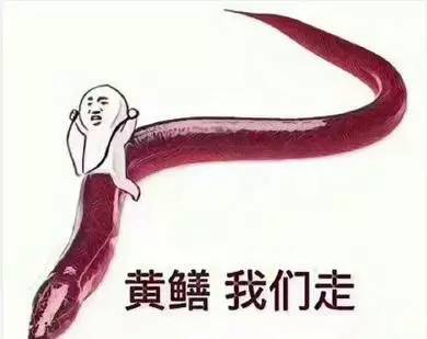 最新黄鳝门地址深度体验与评测报告