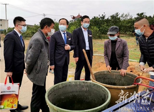 道县疫情最新动态，11月6日回顾与影响