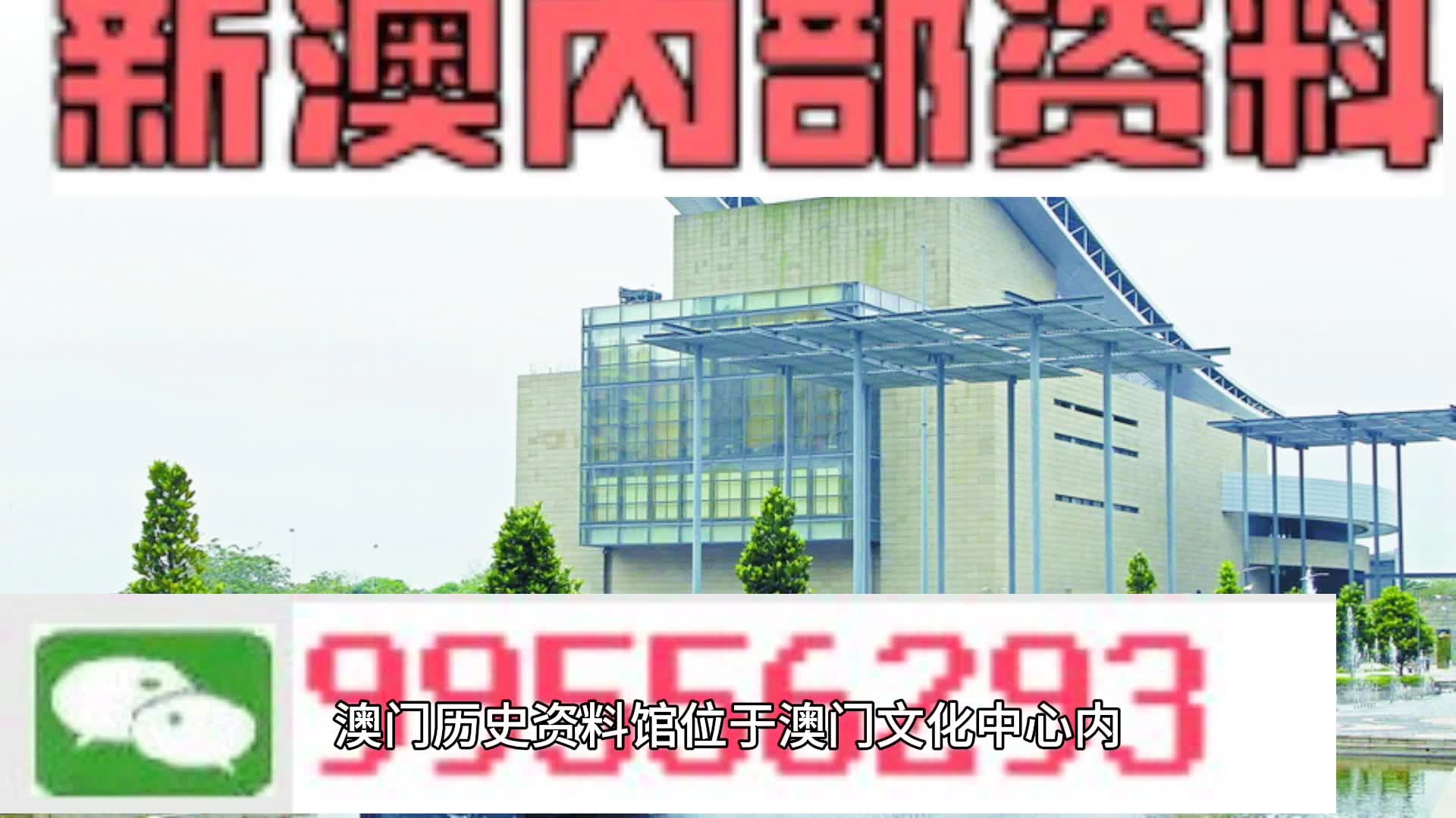 新澳门资料免费长期公开,2024,职业解答解释落实_运动款29.612