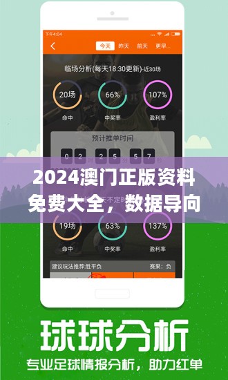 2024澳门精准正版资料,稳定解答解释落实_macOS65.592