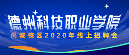 泰安齐鲁人才网11月最新招聘盛况，聚焦人才盛宴