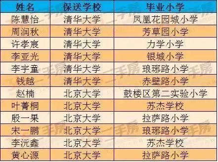 新奥2024正版资料大全,深入探讨现象解答解释_PT28.665