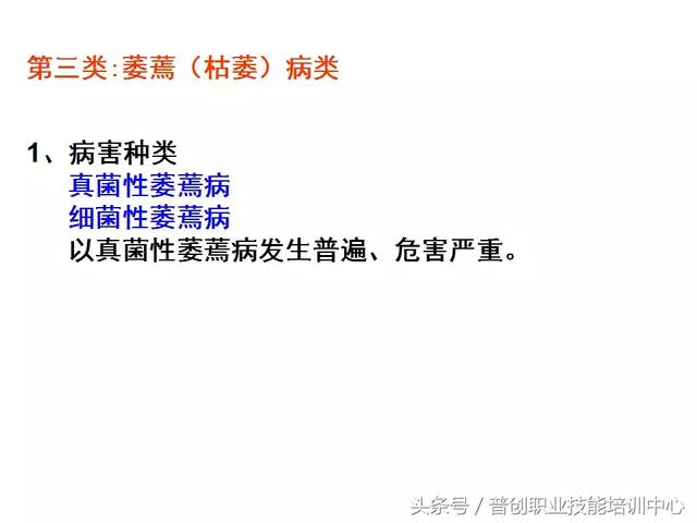 新奥门特免费资料大全198期,最新研究解析说明_速成版CUG279.3