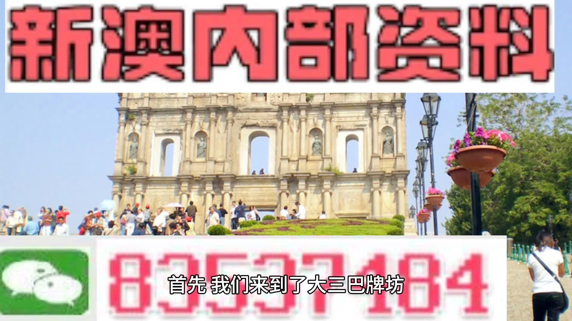 新澳2024正版资料免费公开,动态词语解析_简便版551.9