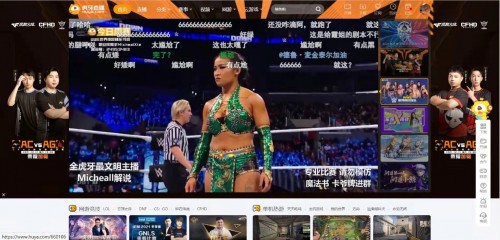 澳彩资料免费的资料大全wwe,综合数据说明_激励版982.98