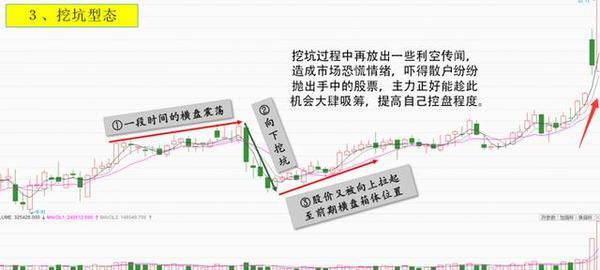 2024年11月9日 第29页