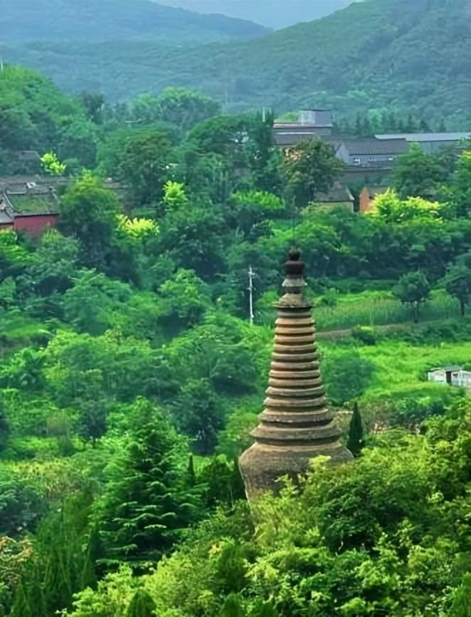 历史上的11月10日，她社区与自然美景的奇妙邂逅之旅