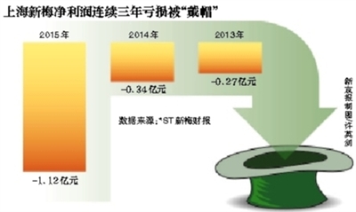 去年ST新梅发展回顾与未来领域地位展望，绽放之光