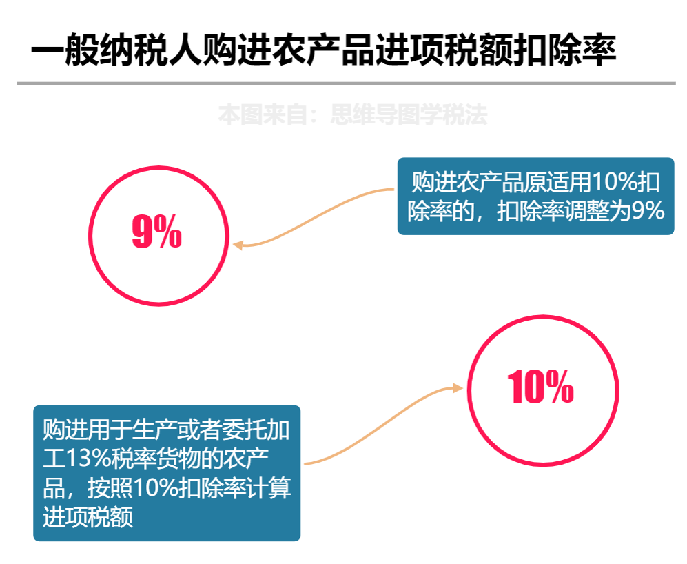 往年11月10日最新播音员深度探析，观点下的洞察