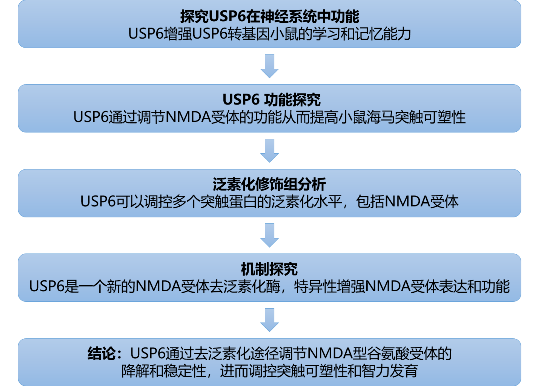 2024年新澳正版资料解析：白银版HCQ81.87安全设计策略