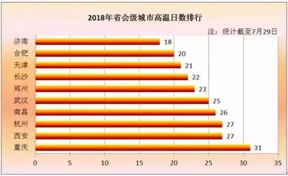 历史上的11月12日大益茶最新价格揭秘，时光品茶香之旅