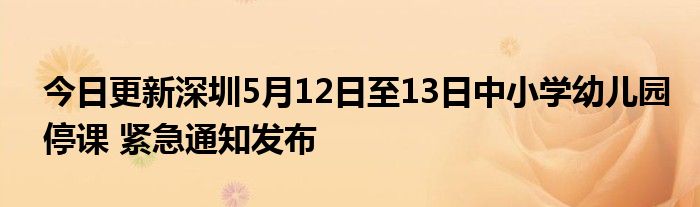 往年11月12日深圳停课通告解析，最新动态与影响分析