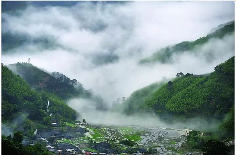 杨国民的秋日奇遇，自然美景之旅探寻内心宁静与平和之道