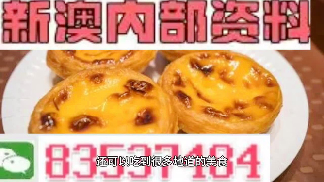 新澳门精准免费资料大全,动态词语解析_化天境ORF543.3