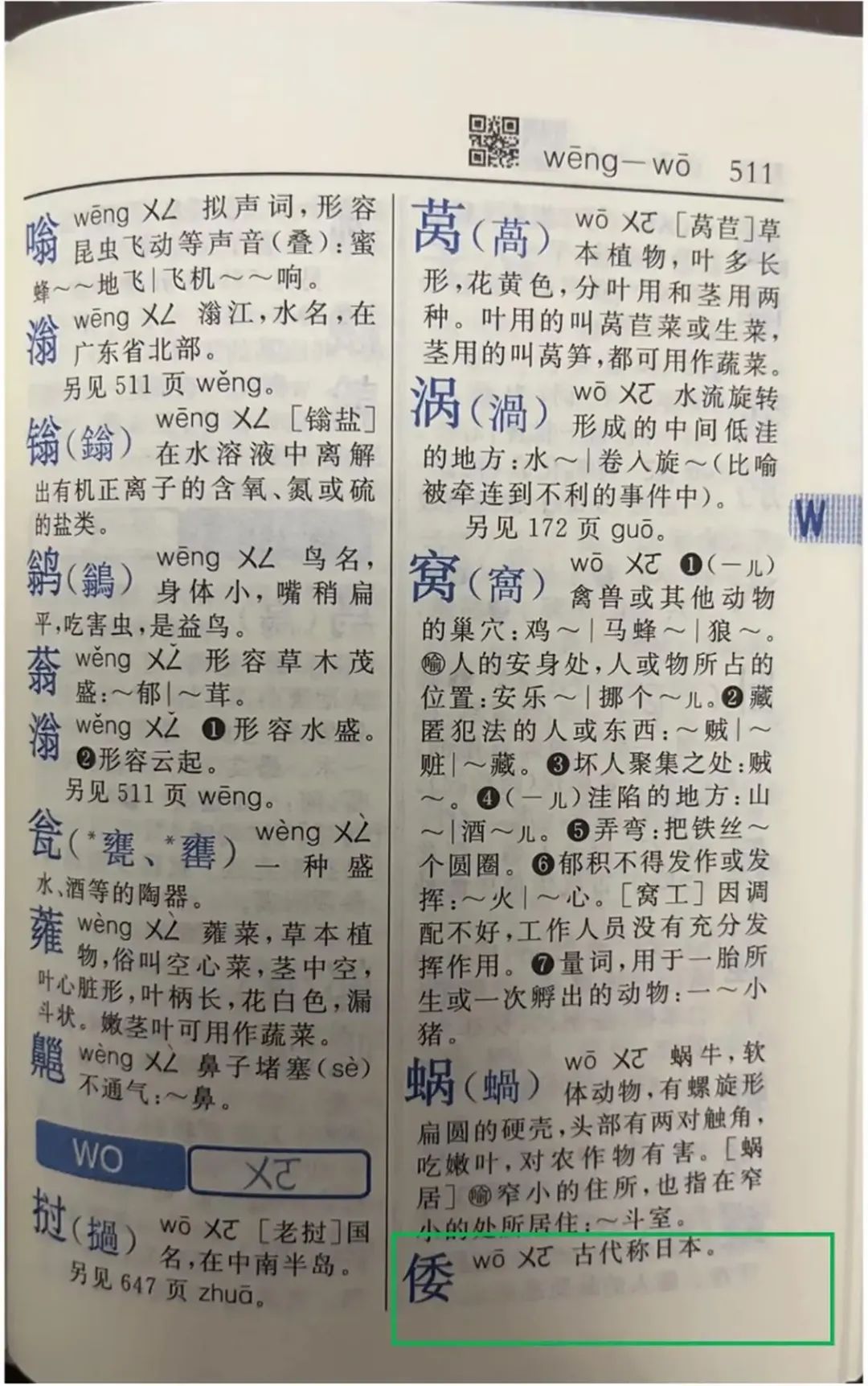 最新字典深度解读与观点阐述，往年11月13日版解析与探讨