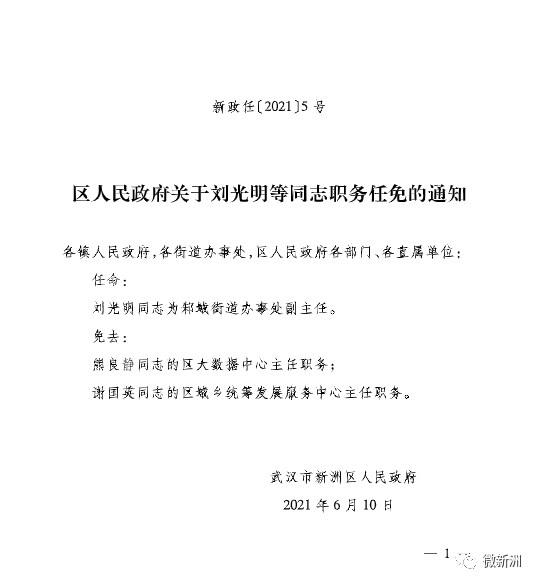 青阳人事任命新篇章，深度解析2024年人事调整