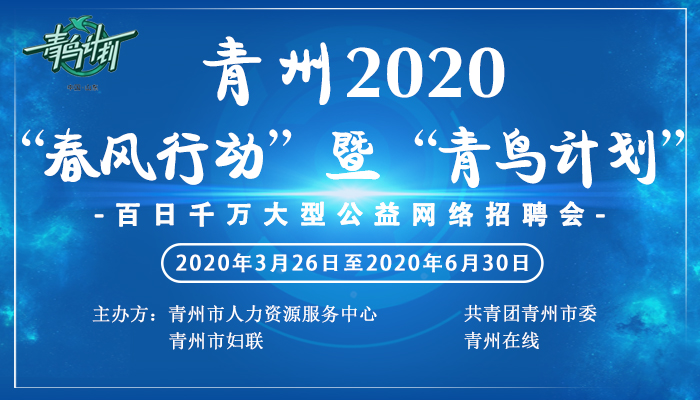 11月青州招聘网最新招聘现象深度解析与多元观点探析