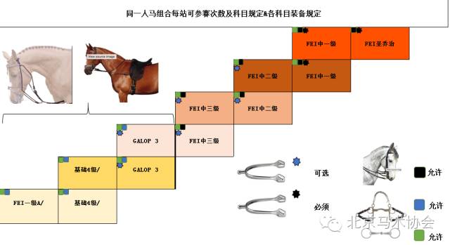 东成4肖八马详尽资料，全方位数据解析升级版_EGT47.290优化版