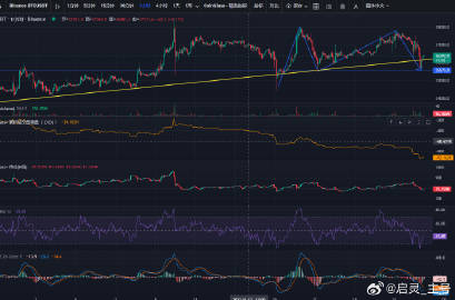 刘伯温与白小姐一肖一码探析：详尽解读执行策略版本CLZ47.282升级版