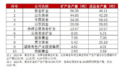 2024年资料全面免费提供，详尽实施计划发布_RHR77.469轻量版