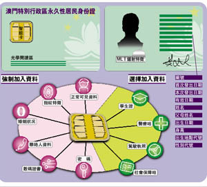 澳门6合和彩生肖数字实证案例分析——XXC47.697美学视角