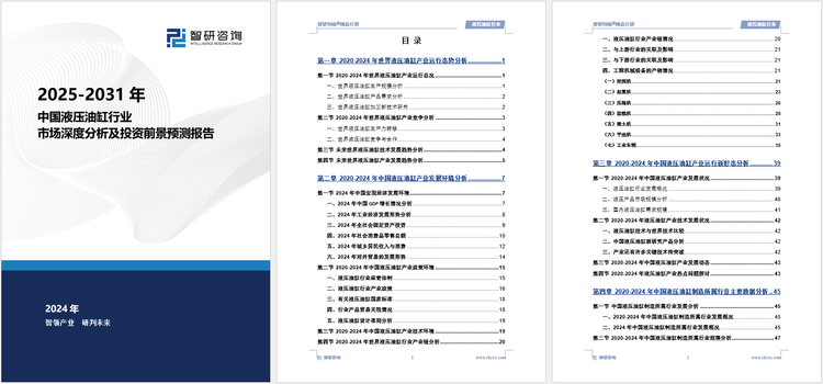 每周二四六精准资料揭晓，优化执行策略_JBE62.688程序版