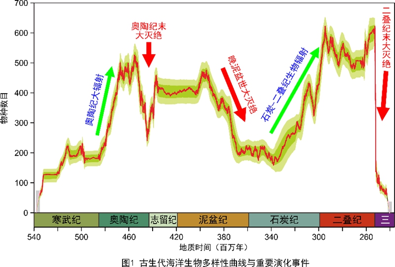 2024澳门六开奖号码揭晓：深度解析_DSA64.354蓝球版