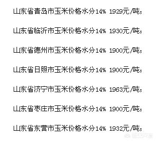 2024年11月15日 第94页