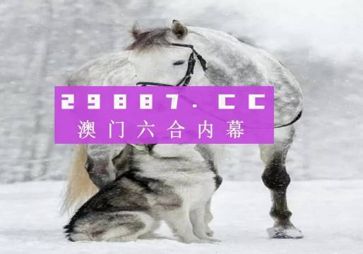 CSU87.775原创版：精准解读香港正版跑狗7777788888