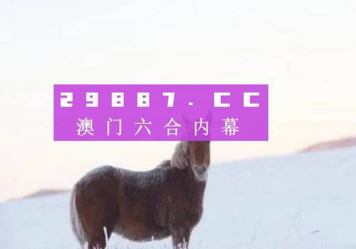 澳门王中王一肖一特一中，创新解读_QME11.882精选版